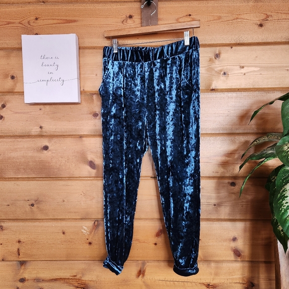 Ecote Anthro Blue Velvet Harem Pull On Jogger Pants Stretch High Waist Crop Sz S - Picture 1 of 11